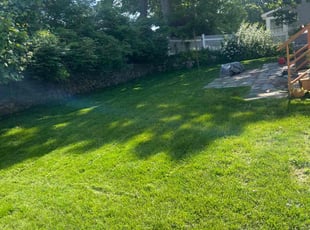 Devin L.'s lawn care services service result