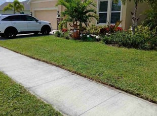 Stephen M.'s lawn care services service result