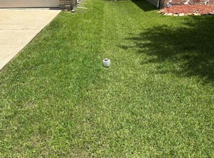 Shannon M.'s grass cutting service result