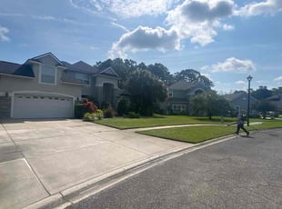 Rachael C.'s lawn care service result