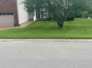 Spencer H.'s lawn maintenance service result