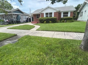 Tiffany S.'s grass maintenance service result