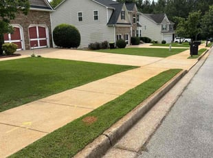 Carolyn H.'s grass maintenance service result