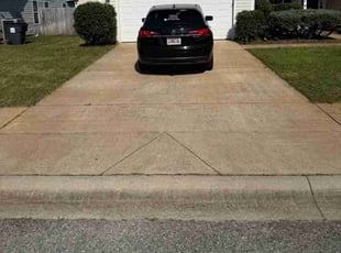 Donna S.'s Bush Trimming service result