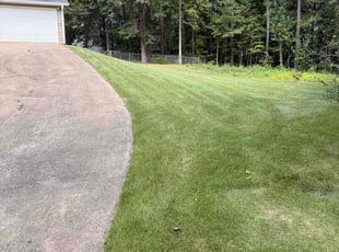 Hugo H.'s turf care service result