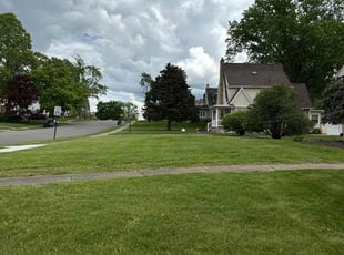 Claudio B.'s yard work service result