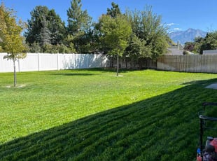 Gerri H.'s lawn service service result