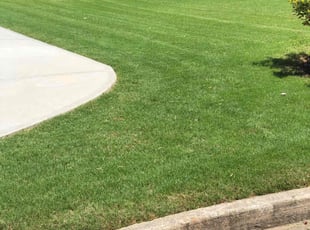 Frankie h.'s grass cutting service result