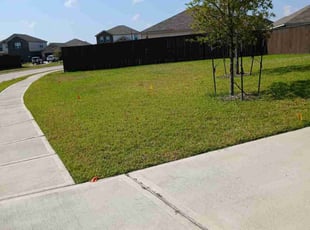 Hao L.'s lawn maintenance service result