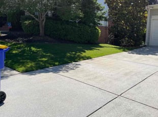 Nicolas B.'s grass cutting service result