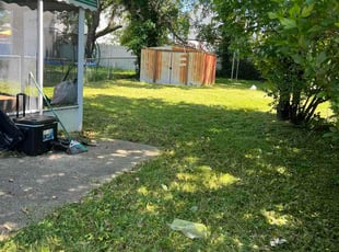 James D.'s turf care service result