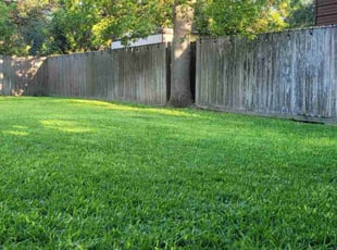 Scot M.'s lawn care service result