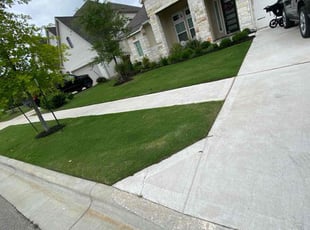 Cortney C.'s grass cutting service result