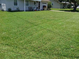 Aijaz D.'s lawn care services service result
