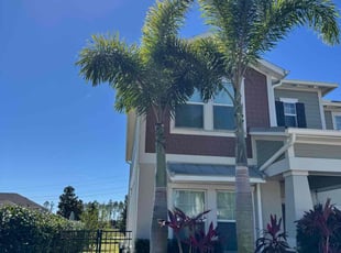 Molly A.'s Tree Care service result
