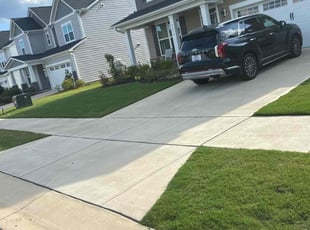 Barry L.'s lawn service service result