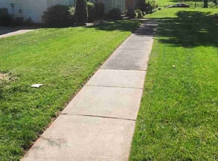 William M.'s lawn care service result