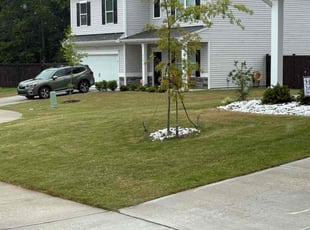 Tony J.'s turf care service result