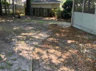 Jacqueline H.'s lawn care service result