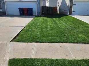 Christina K.'s lawn maintenance service result