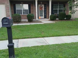 Leslie H.'s turf care service result