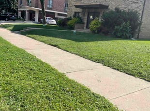 Shannika M.'s gardening service service result