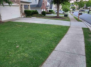 Kathy H.'s turf maintenance service result