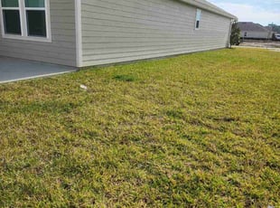 Mary Z.'s turf maintenance service result