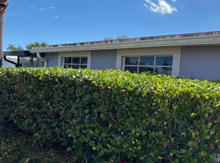 Darryl H.'s Bush Trimming service result