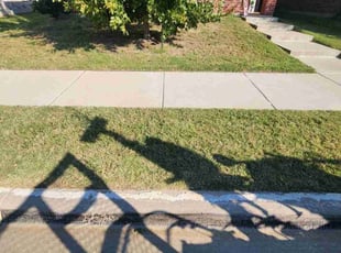 Andrea L.'s lawn care services service result