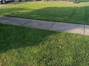 Pascal F.'s turf maintenance service result