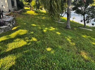 Cindi J.'s grass maintenance service result