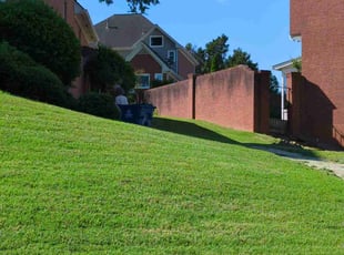 Jeffrey P.'s turf care service result