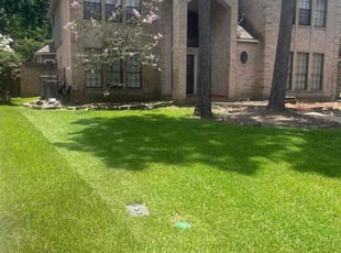 Christal B.'s grass cutting service result