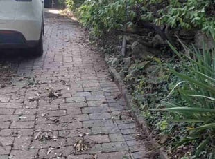 Trisha L.'s lawn care service result