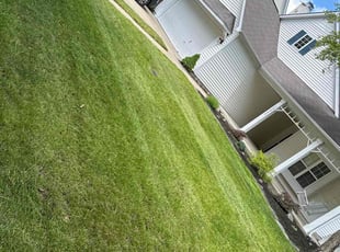 Sean F.'s lawn care service result