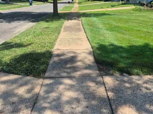 Sultan N.'s lawn care services service result
