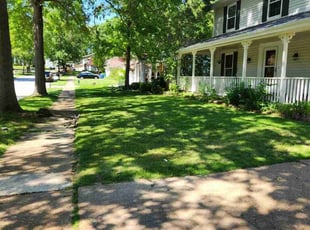 Julie B.'s lawn maintenance service result