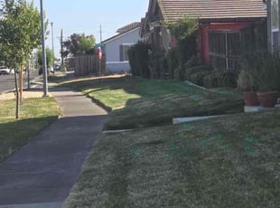 George H.'s lawn service service result