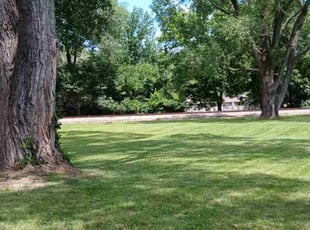 Blaise W.'s grass maintenance service result