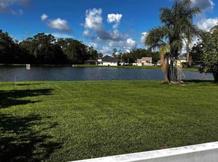 Celestine H.'s grass cutting service result