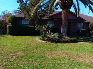 Stephen B.'s Bush Trimming service result