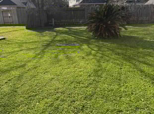 Sandra K.'s grass cutting service result