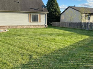Christina B.'s grass cutting service result