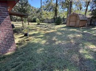 Andrea P.'s turf care service result