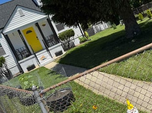 Lisa G.'s grass cutting service result