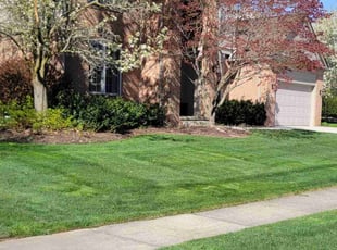 Peggy K.'s lawn service service result