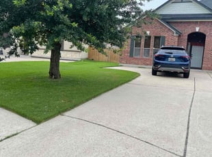 David S.'s lawn care service result