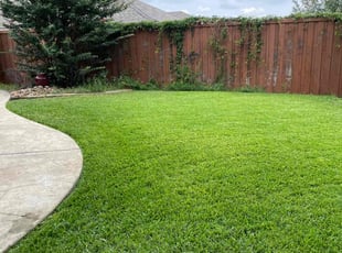 Zain B.'s lawn service service result