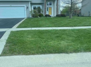 Terrance C.'s turf maintenance service result